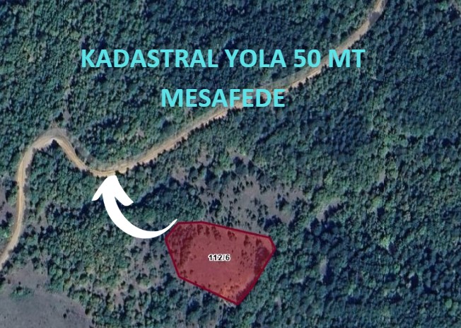 KASTAMONU ARAÇ DERETEPEDE 3.004 M² TARLA SATILIK. - KASTAMONU ARAÇ fotoğraf 7